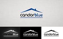 Creare logo - Condor Blue